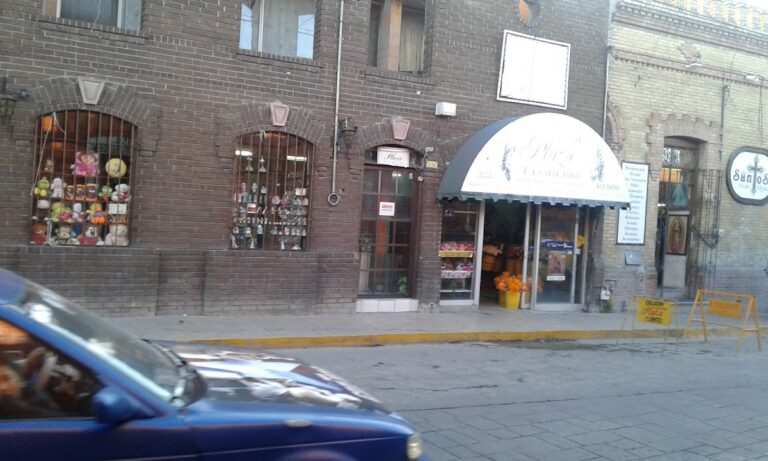 33084 floreria plaza 768x461