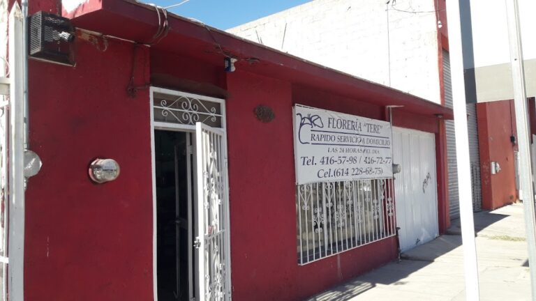 33088 floreria tere 768x432