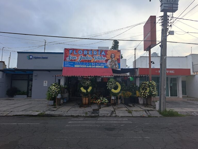 33102 floreria san judas tadeo 768x576