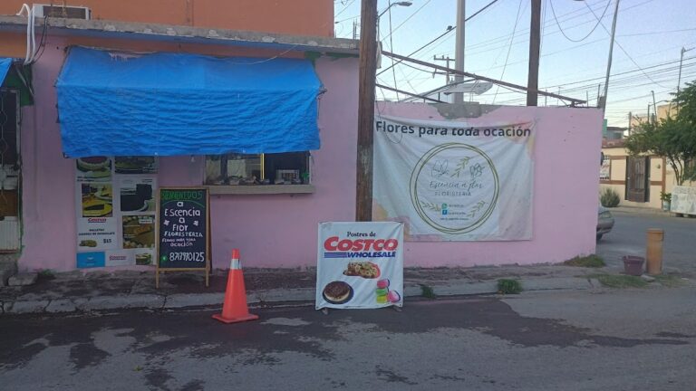 33136 escencia a flor 768x432