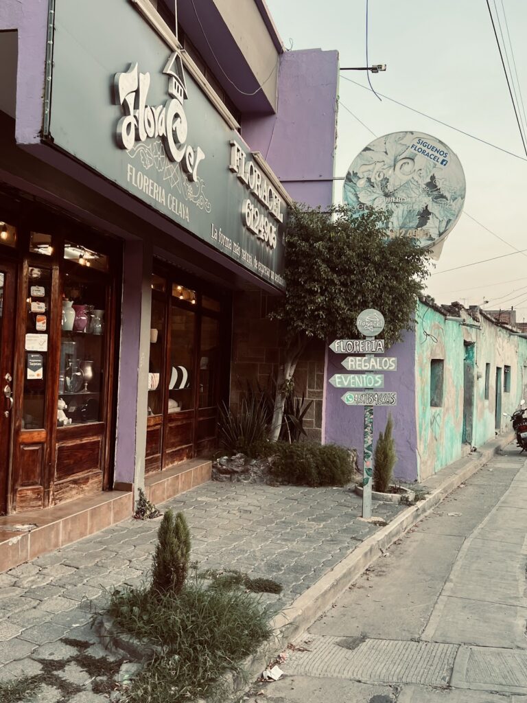 33176 floreriafloracel 768x1024