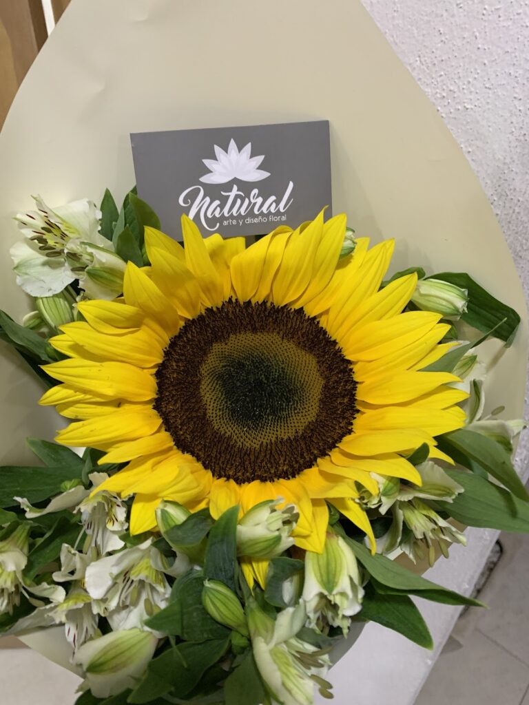 33188 natural floreria 768x1024