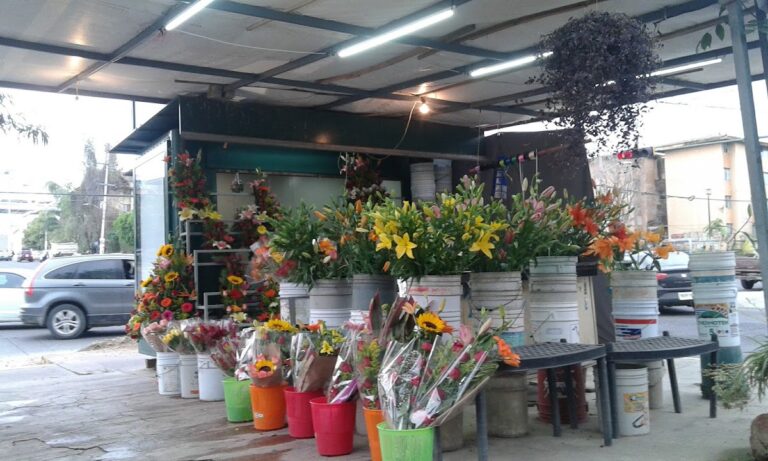 33222 floreria sandoval 768x461