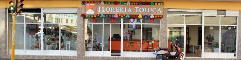 33228 floreria toluca 768x191