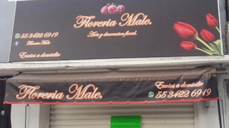 33256 floreria male tlalnepantla 768x431