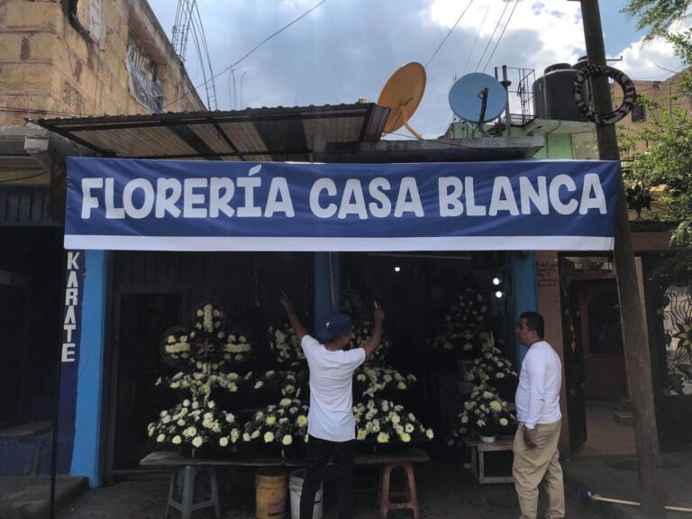 33260 floreria casa blanca 768x576