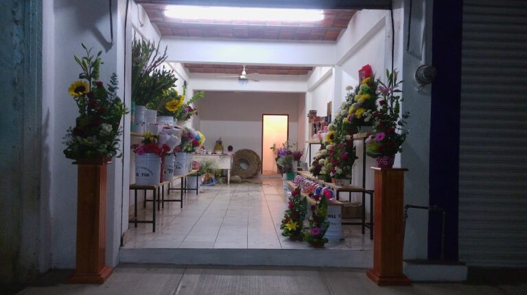 33284 las flores de ana 768x431