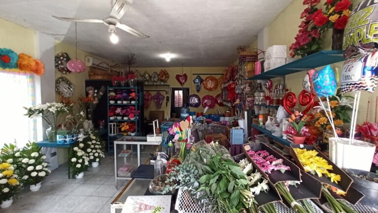 33342 floreria el 8220modelo8221 768x433