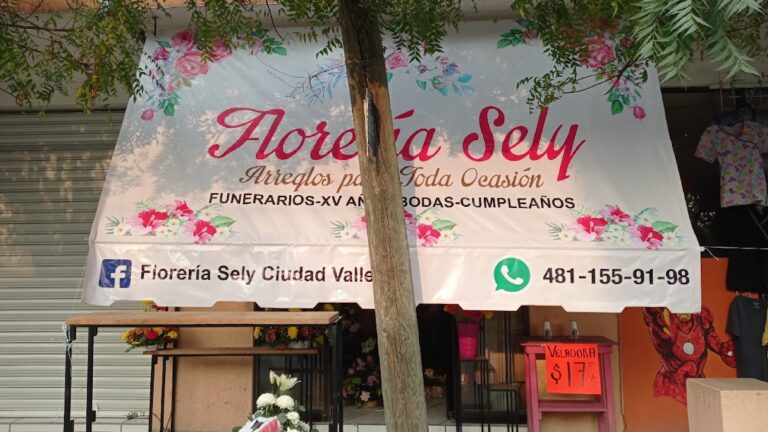 33390 floreria sely ciudad valles 768x432
