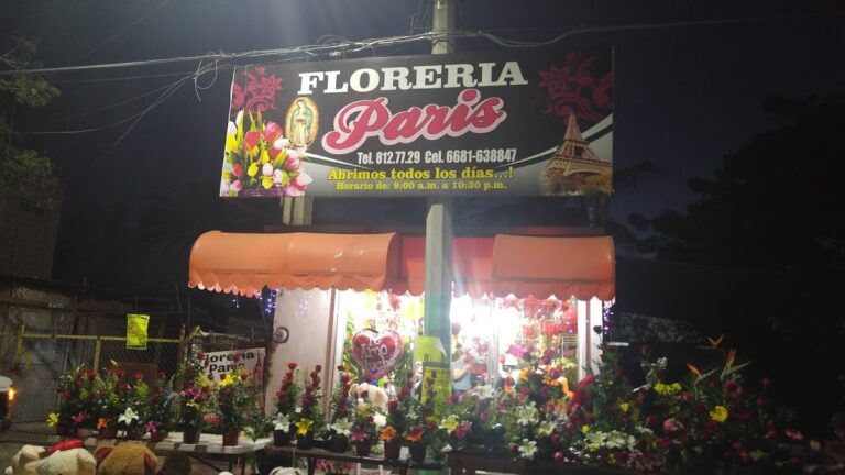 33402 floreria paris los mochis 768x432