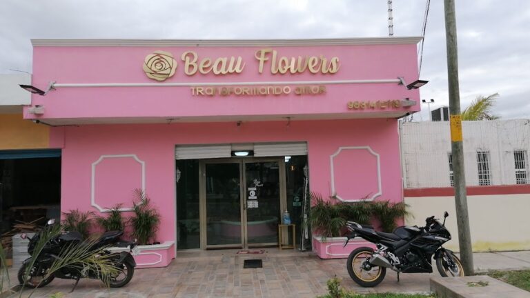 33410 beau flowers chetumal 768x432