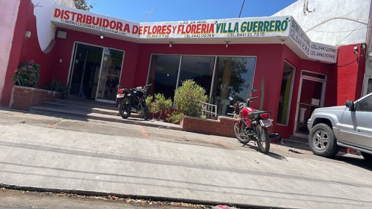 33416 distribuidora de flores y floreria villa guerrero 768x432