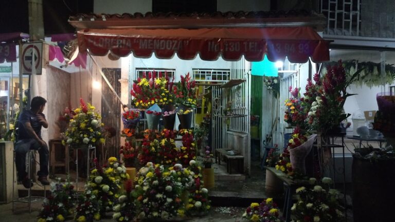 33432 floreria mendoza 768x432