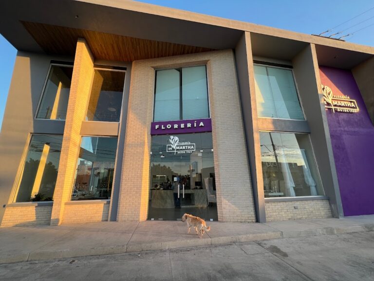 33460 floreria y regalos martha s.a. de c.v 768x576