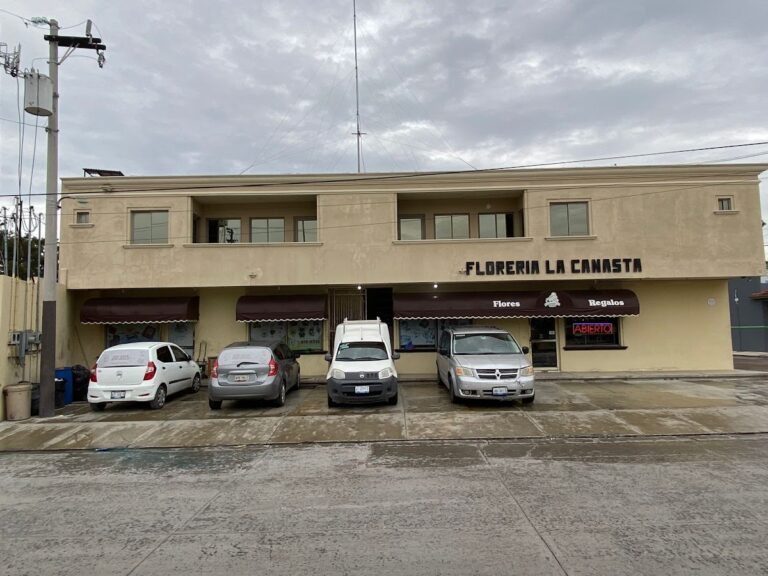 33462 flores y regalos la canasta 768x576