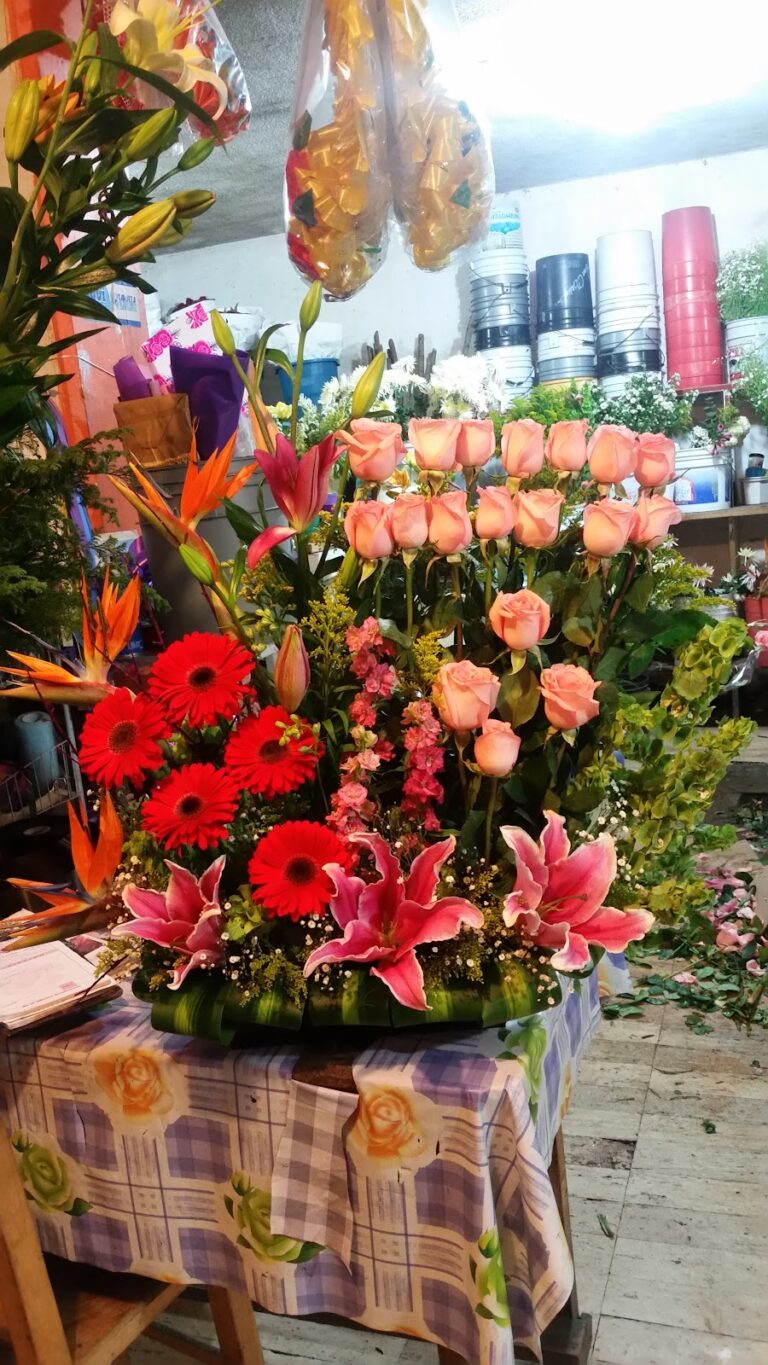 33497 floreria poza rica 768x1365