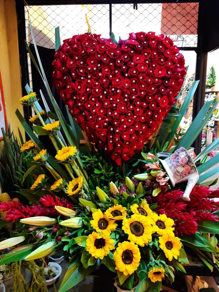 33501 floreria bella orizaba 768x1024