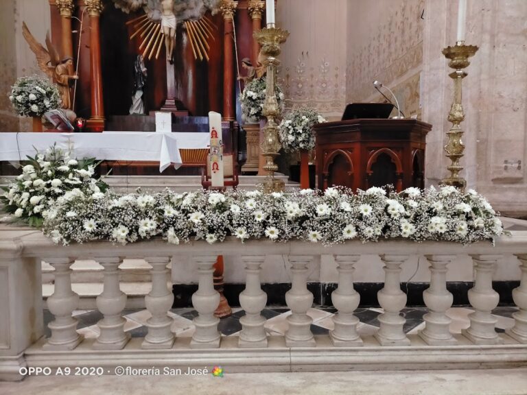 33505 floreria san jose 768x576