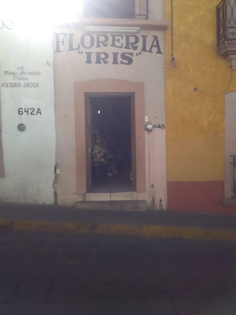 33516 floreria iris 768x1024