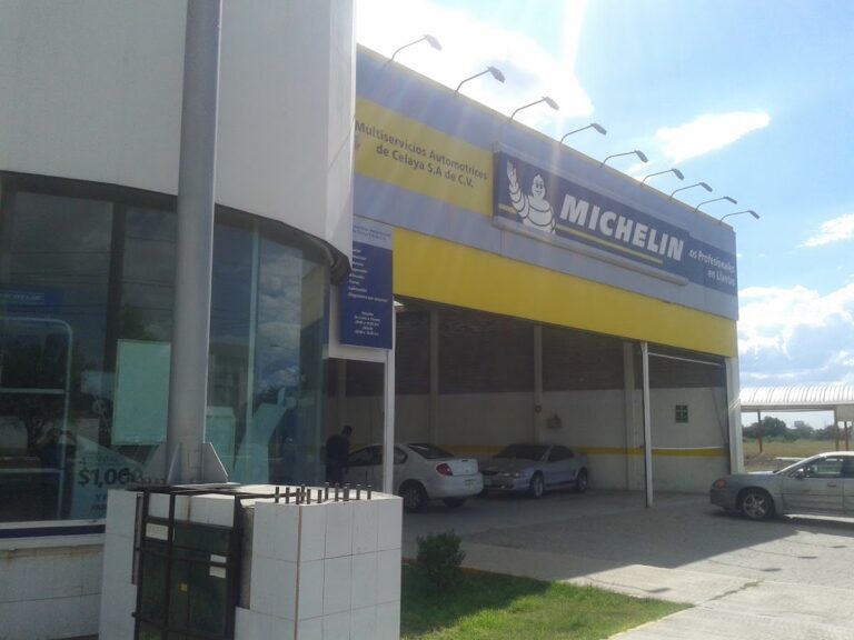33655 multiservicios automotrices de celaya 768x576