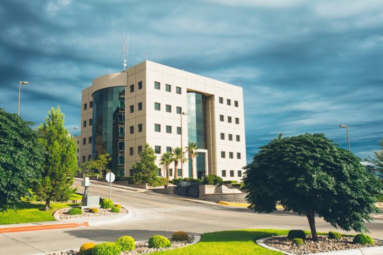 3369 copachisa 768x512