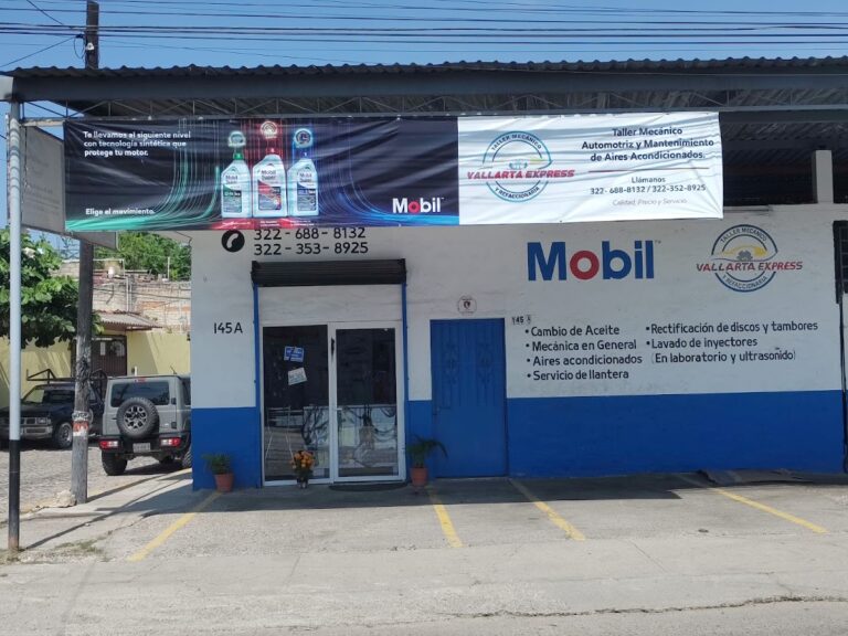 33729 taller vallarta express 768x576