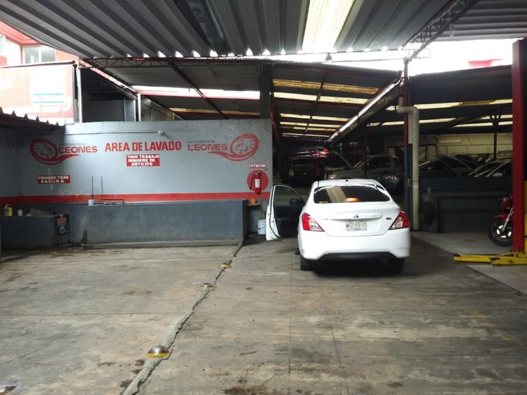 33966 automotriz los leones 768x576