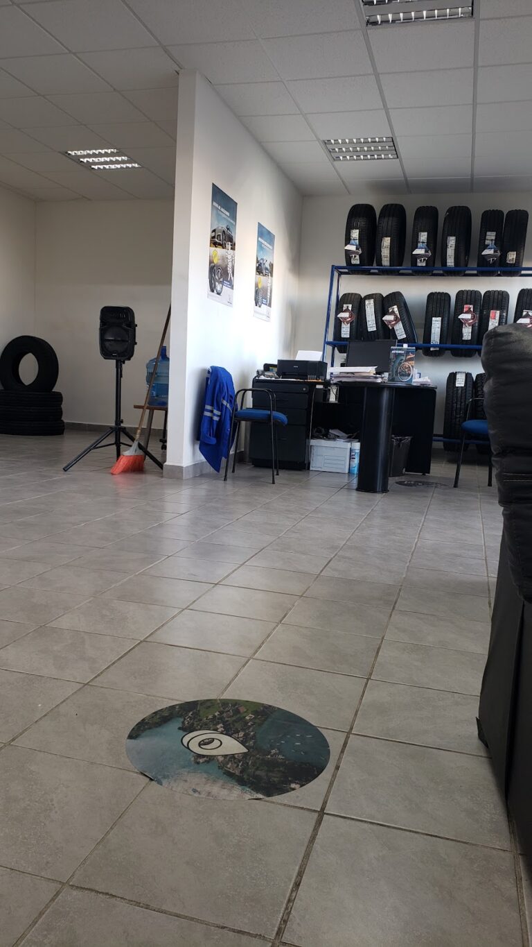 34139 llantas de coahuila sa de cv 768x1365