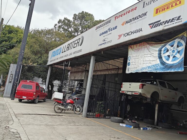 34237 el rey de jardines de morelos s.a. de c.v 768x576