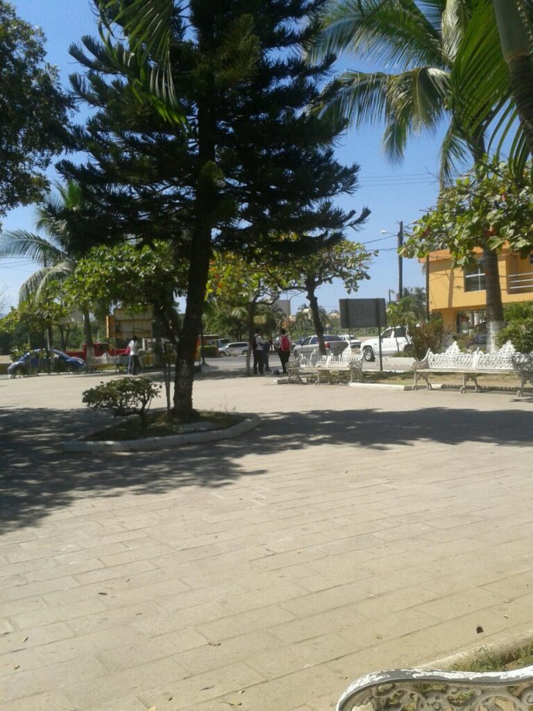 3433 altho proyecto y construccion s.a. de c.v 768x1024