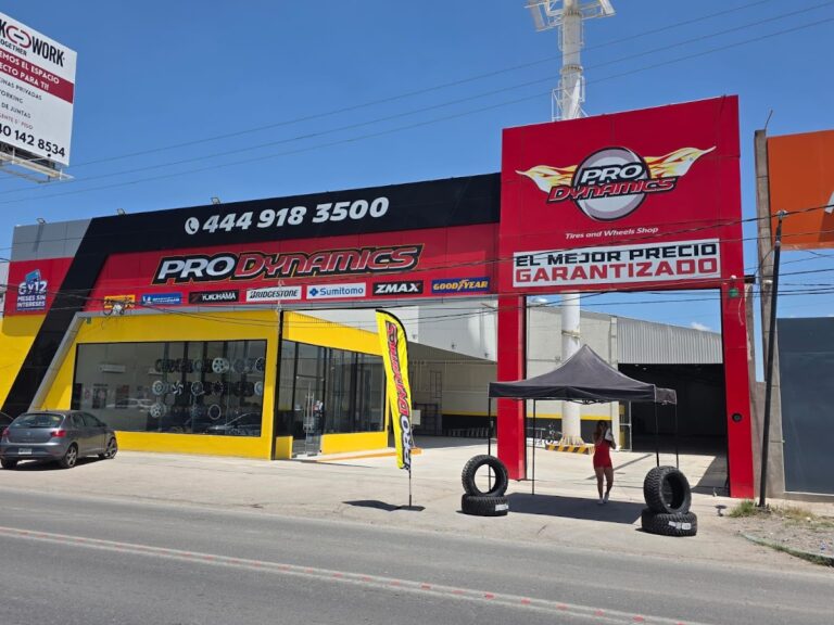 34396 llantas prodynamics carretera 57 768x576