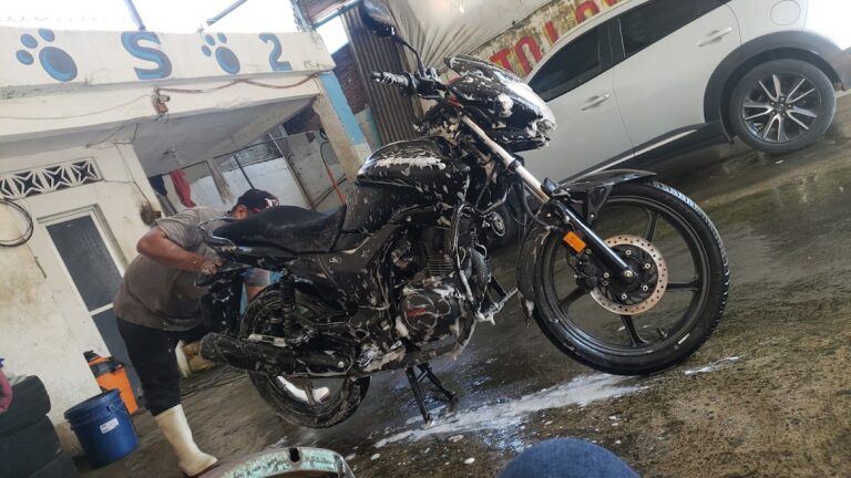 34622 auto lavado el oso 2 768x432