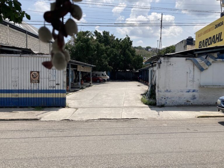 34687 lavado de autos guerrero 768x576