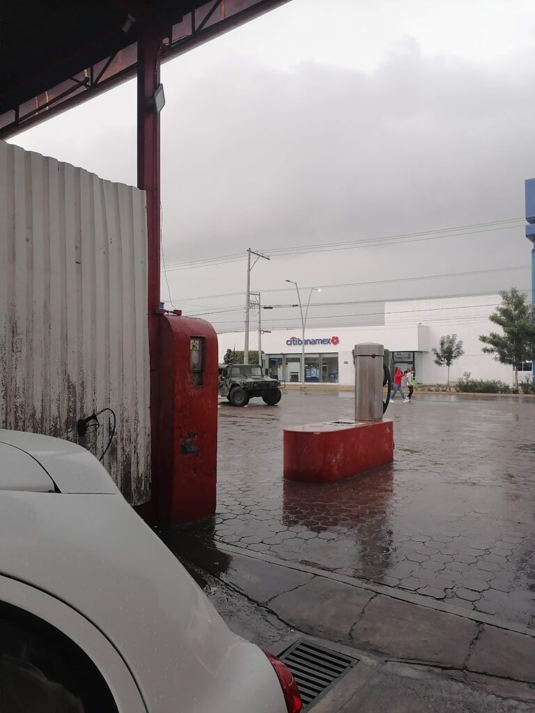 34699 lavalo 768x1024