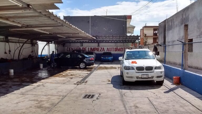 34880 auto lavado lobo 768x432