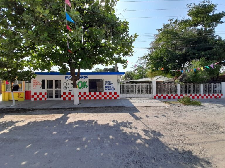 34914 autolavado ok 768x576