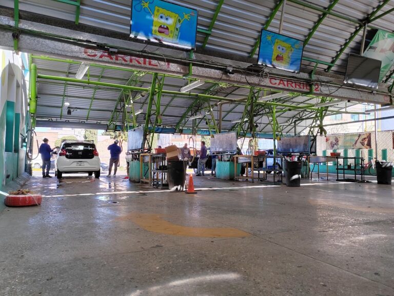 34916 chapuzon auto spa 768x576