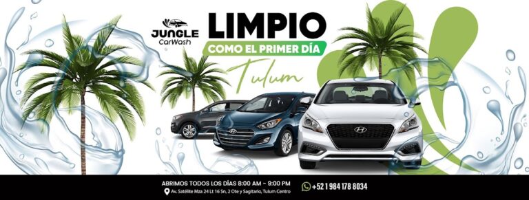 34918 jungle car wash 768x291