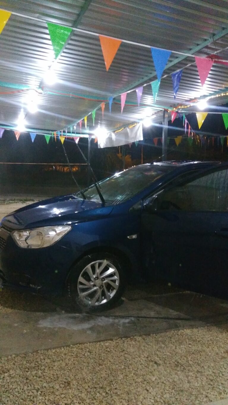 35019 detallado automotriz rooster 768x1365