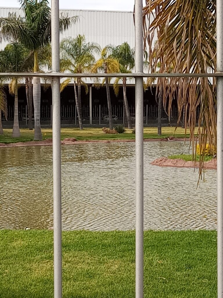 3503 trekant 768x1024