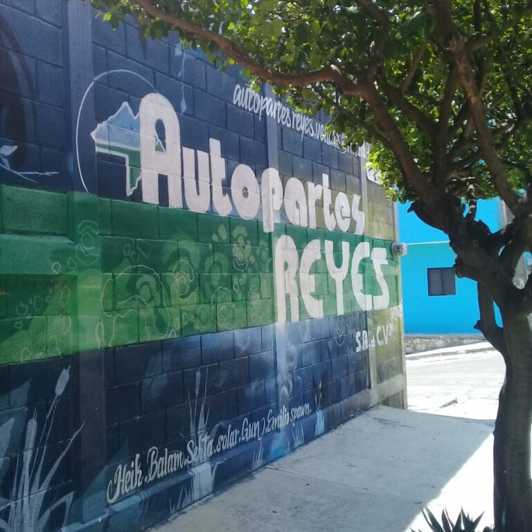 35120 autopartes reyes 768x768