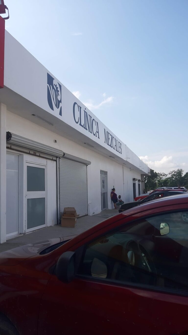 35347 rolcar refaccionaria mezcales 768x1365