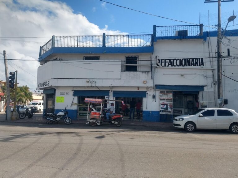 35397 refaccionaria campos 768x576