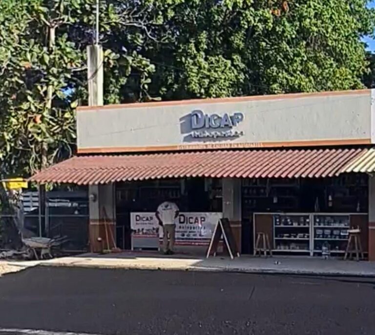 35411 dicap autopartes no llamadas solo mensajes de whatsapp 768x685