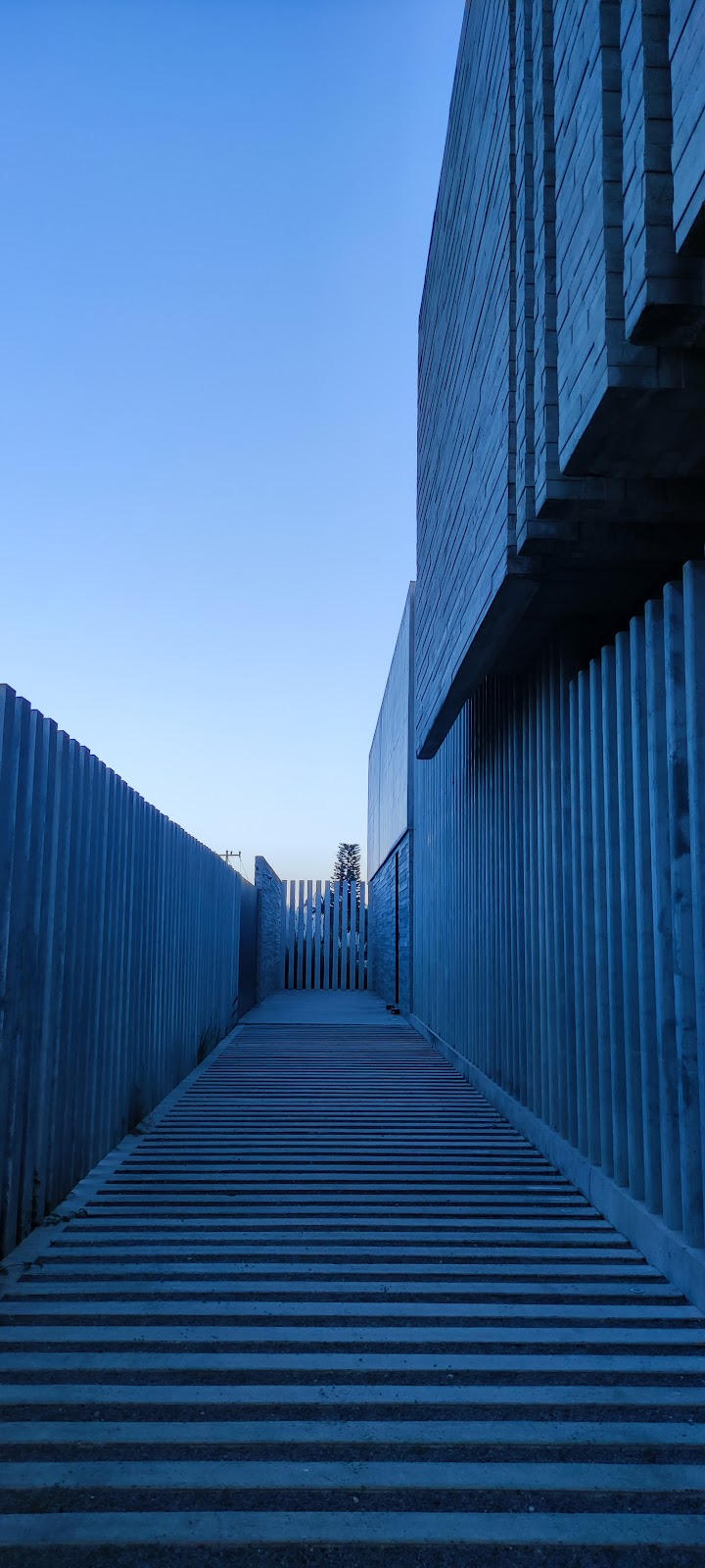 3556 anteus constructora s.a. de c.v