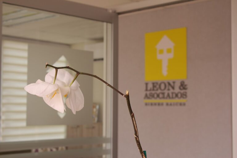 35619 inmobiliaria leon asociados 768x512