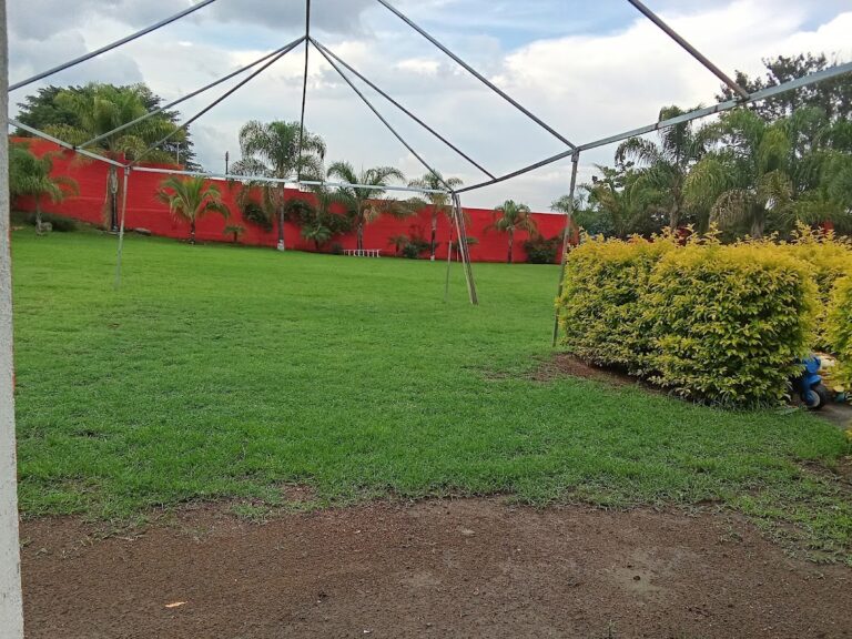 3581 predios en santa rita 768x576