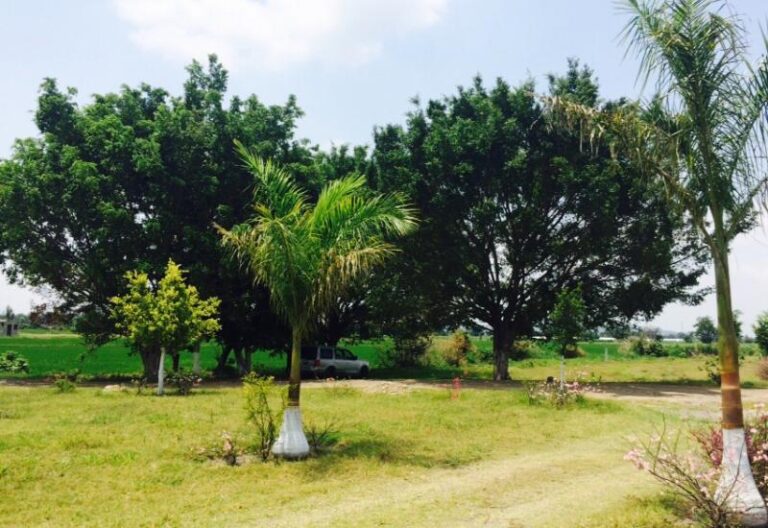 35822 hacienda real inmobiliaria cuautla centro 768x528