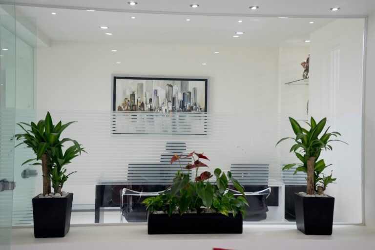 3588 constructora industrial caabsa steel mexico 768x512