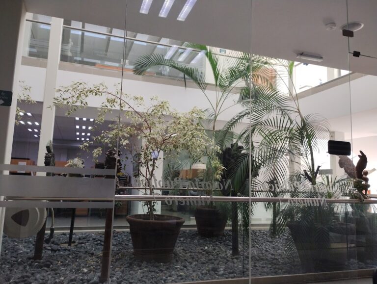 36405 notaria publica no.7 768x579